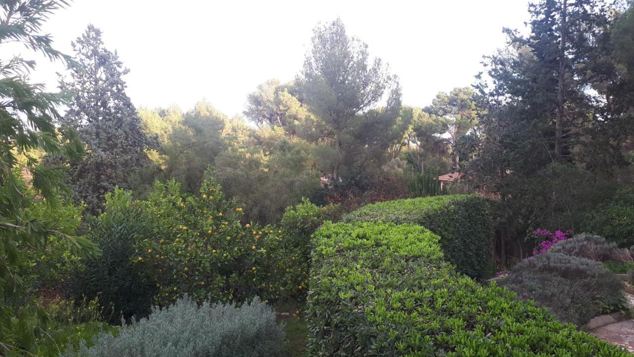פלמה דה מיורקה Casa De Las Vistas מראה חיצוני תמונה