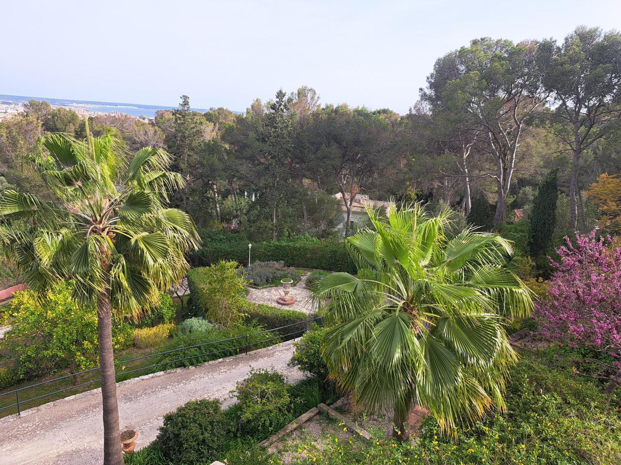 פלמה דה מיורקה Casa De Las Vistas מראה חיצוני תמונה