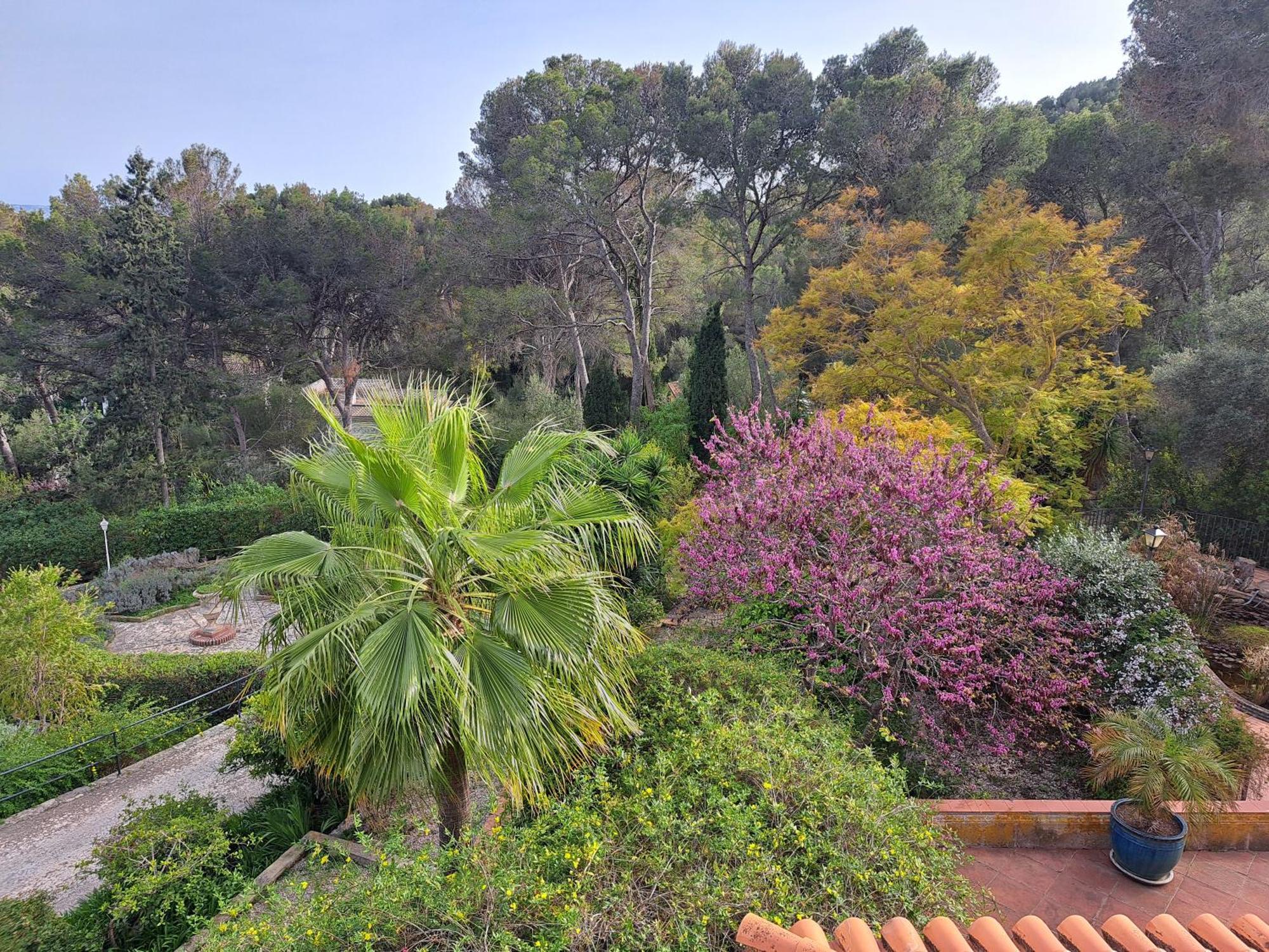 פלמה דה מיורקה Casa De Las Vistas מראה חיצוני תמונה
