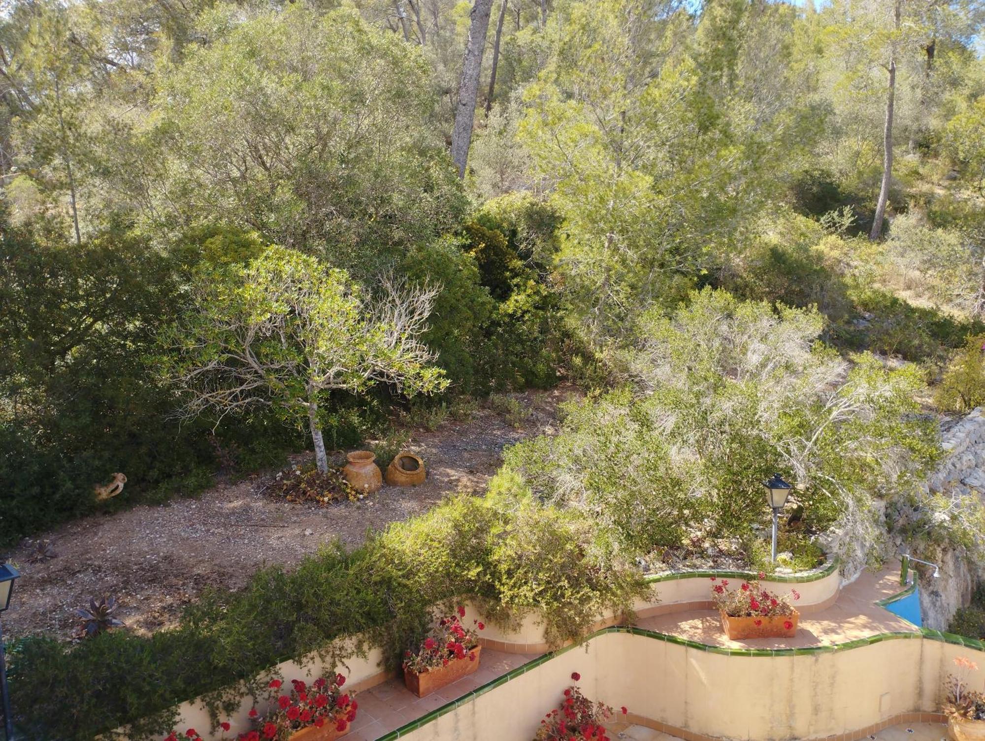 פלמה דה מיורקה Casa De Las Vistas מראה חיצוני תמונה